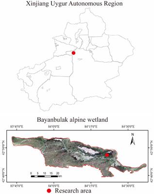 Soil Microbial Community Response to Nitrogen Application on a Swamp Meadow in the Arid Region of Central Asia